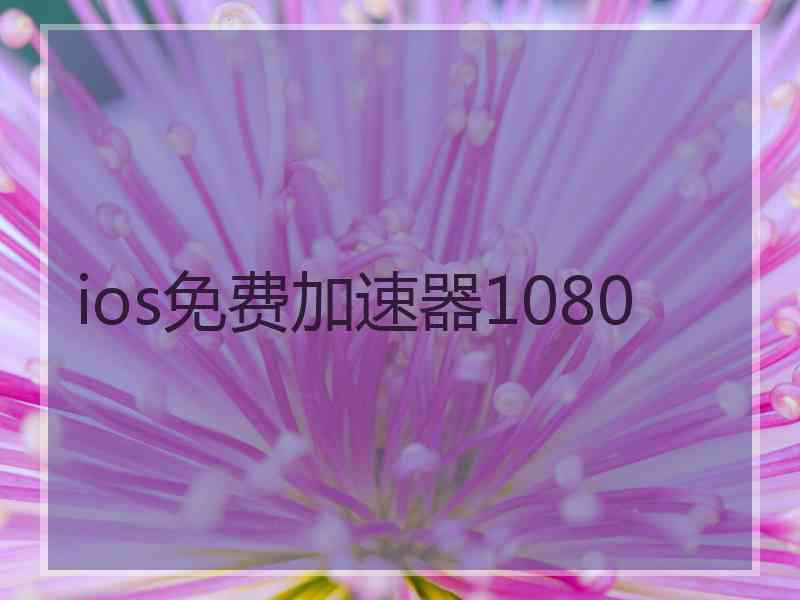 ios免费加速器1080