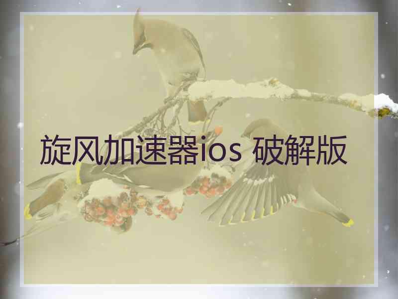 旋风加速器ios 破解版