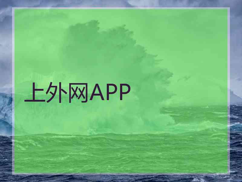 上外网APP