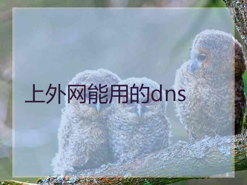 上外网能用的dns