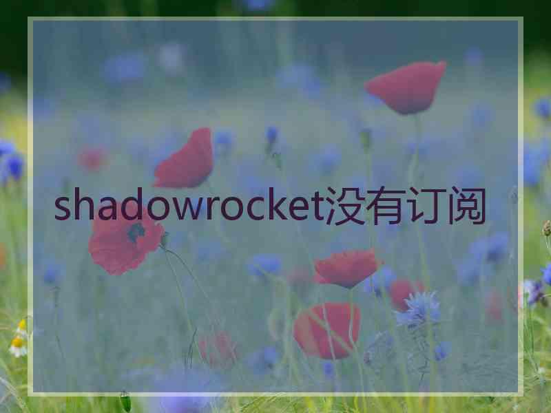 shadowrocket没有订阅