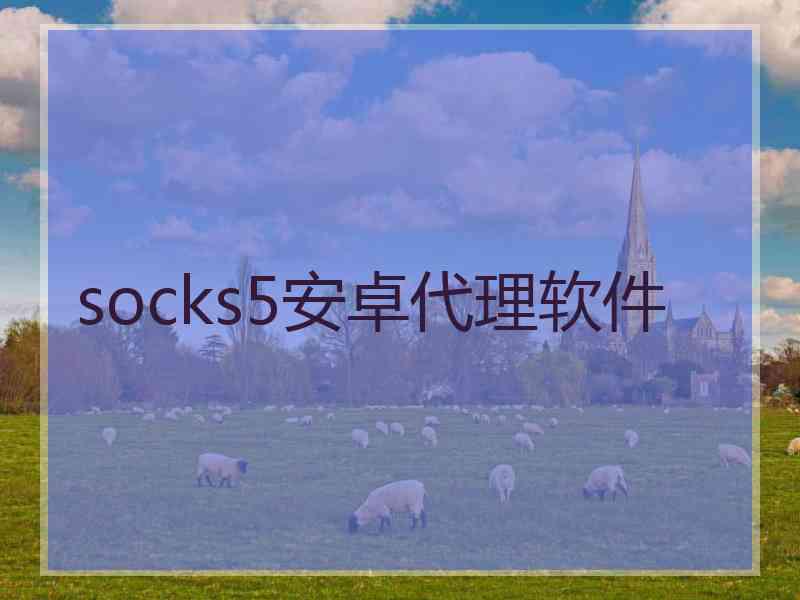 socks5安卓代理软件