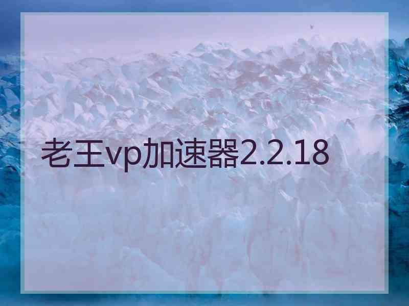 老王vp加速器2.2.18