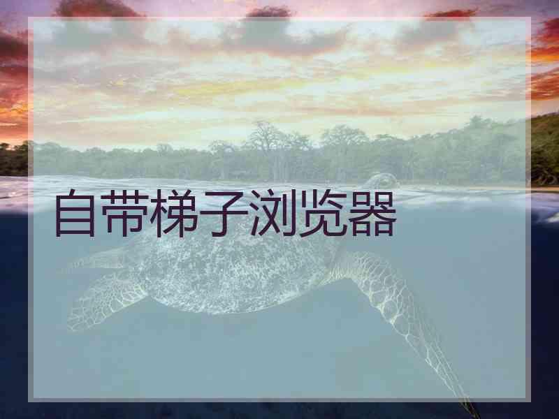 自带梯子浏览器