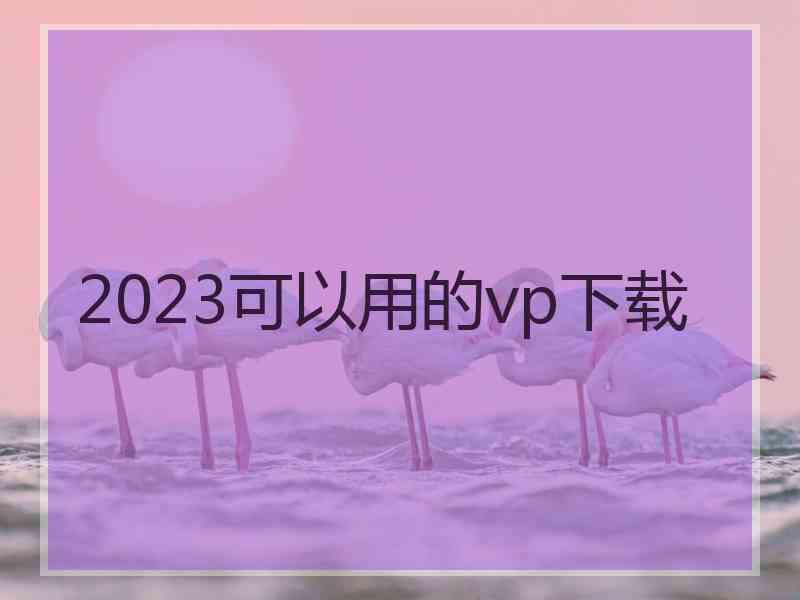 2023可以用的vp下载