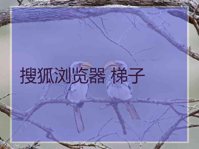 搜狐浏览器 梯子