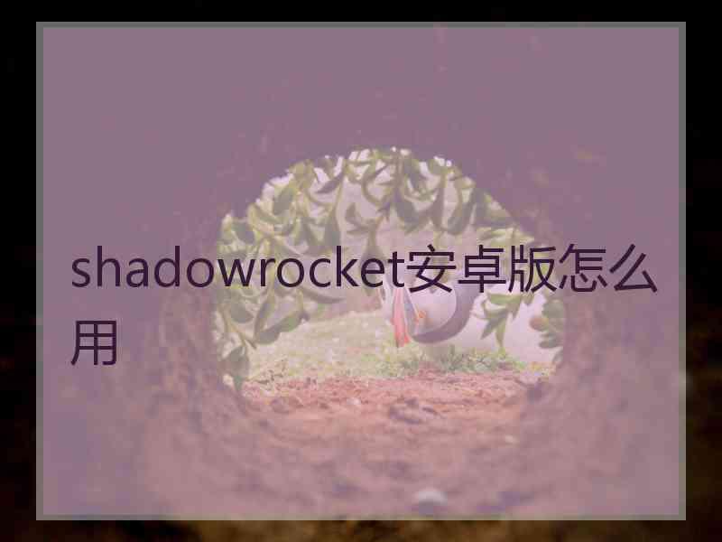 shadowrocket安卓版怎么用