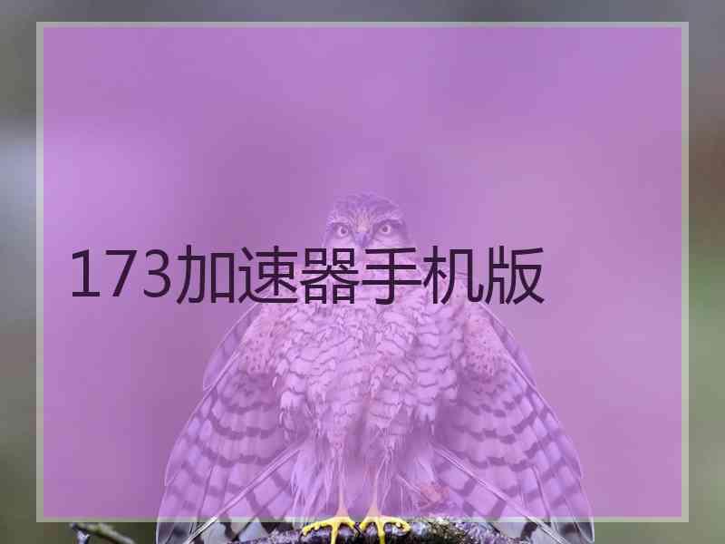 173加速器手机版