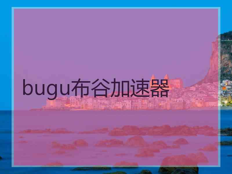 bugu布谷加速器