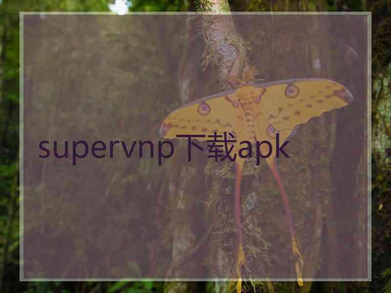 supervnp下载apk