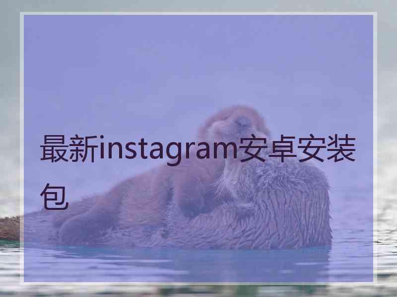 最新instagram安卓安装包