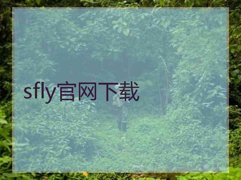 sfly官网下载