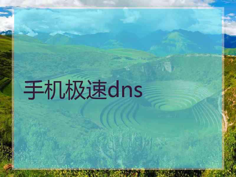 手机极速dns