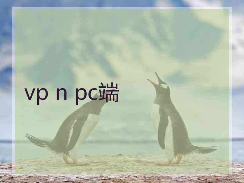 vp n pc端