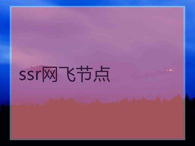 ssr网飞节点