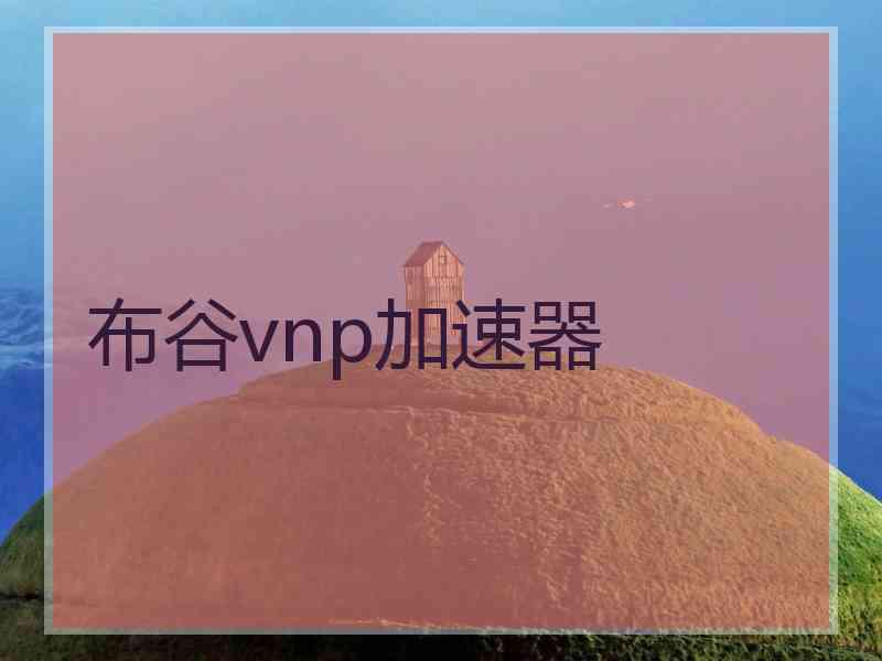 布谷vnp加速器