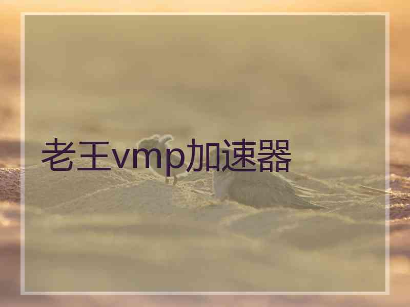 老王vmp加速器