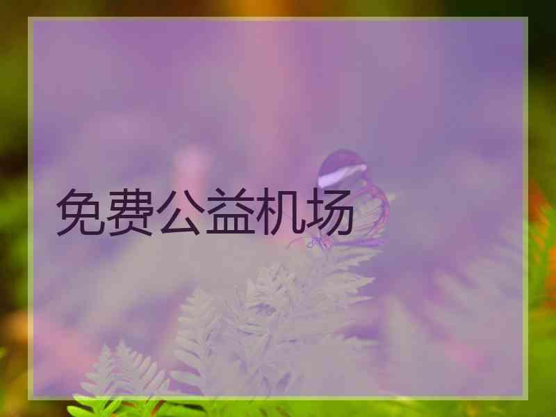 免费公益机场