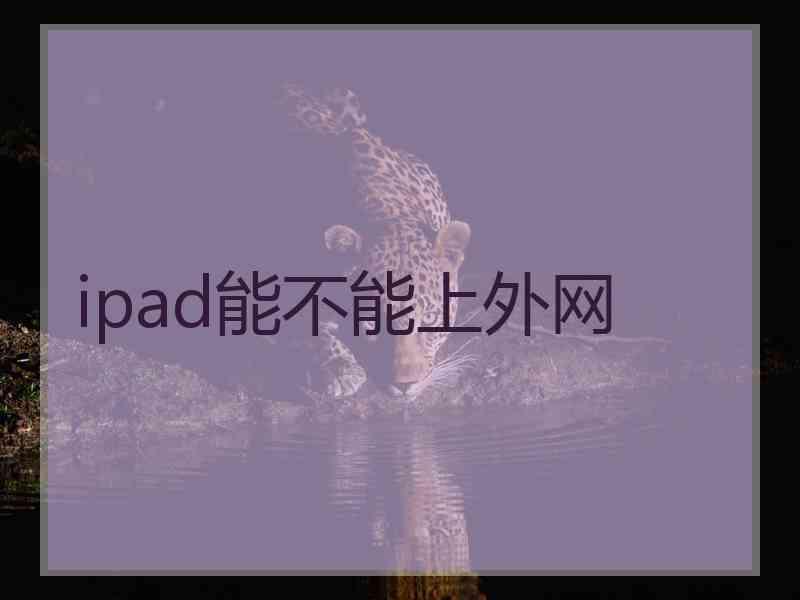 ipad能不能上外网