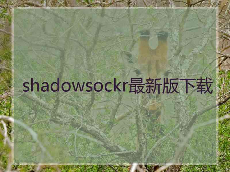 shadowsockr最新版下载