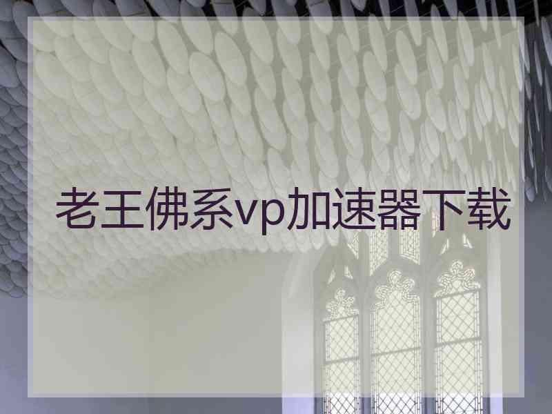 老王佛系vp加速器下载