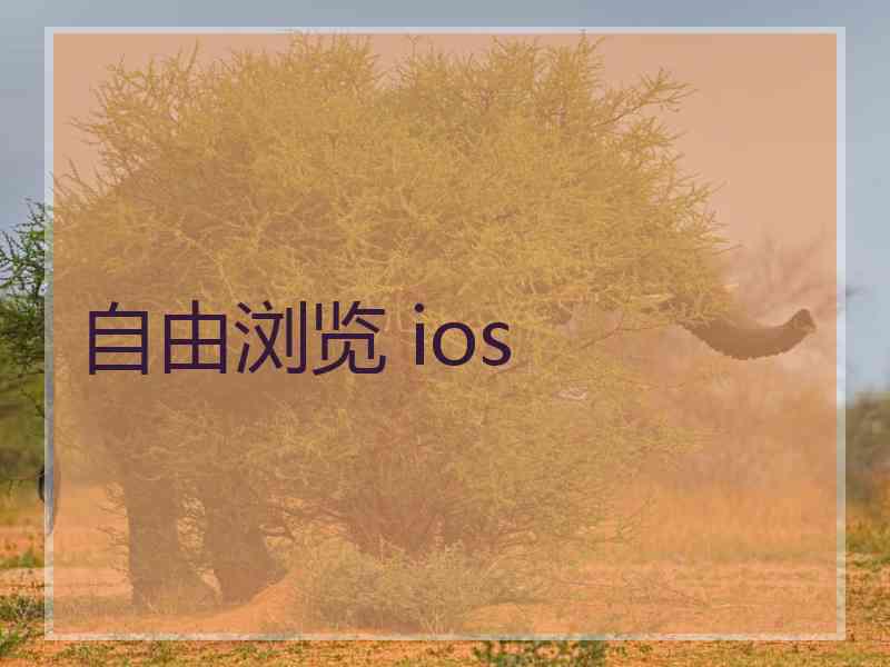 自由浏览 ios