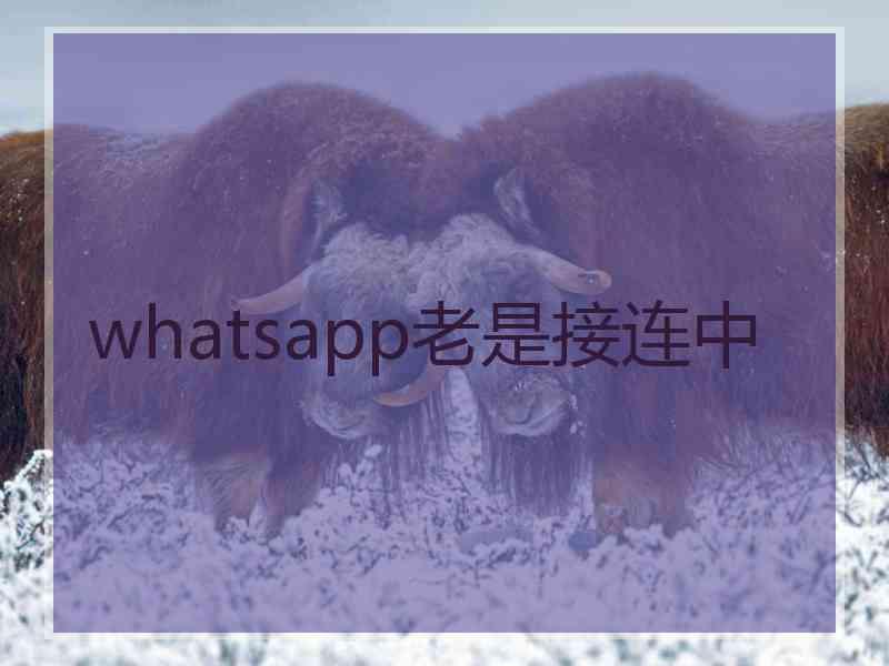 whatsapp老是接连中