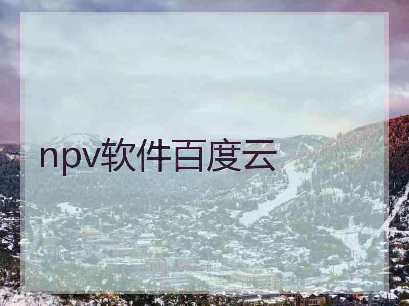 npv软件百度云