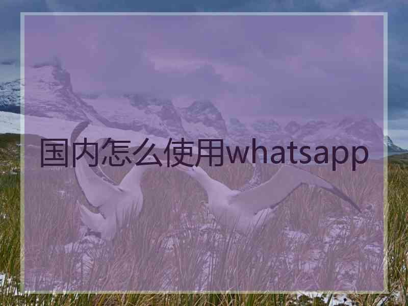 国内怎么使用whatsapp