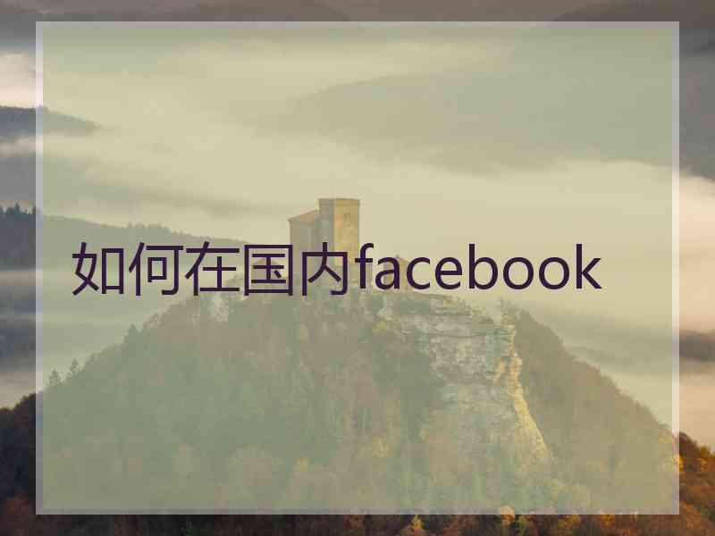 如何在国内facebook