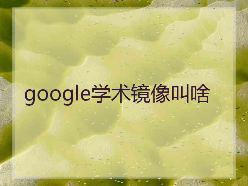 google学术镜像叫啥