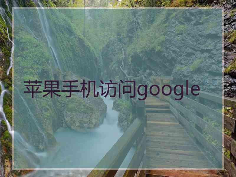 苹果手机访问google