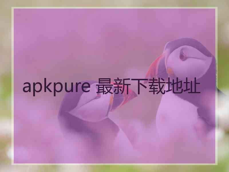 apkpure 最新下载地址