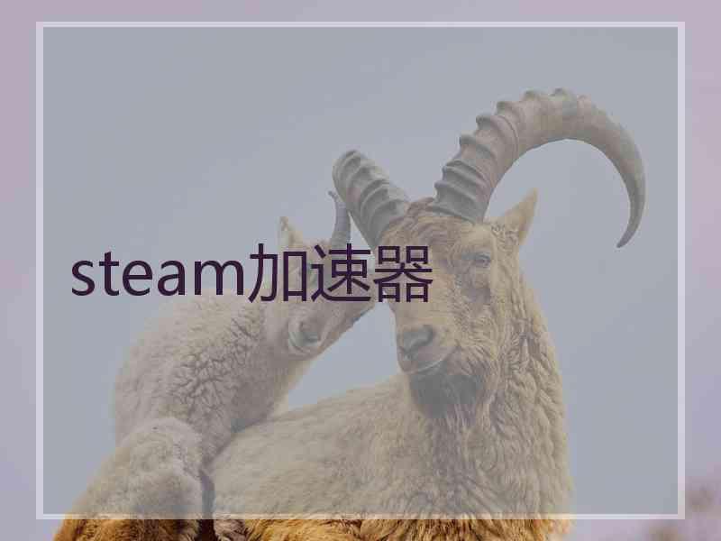 steam加速器