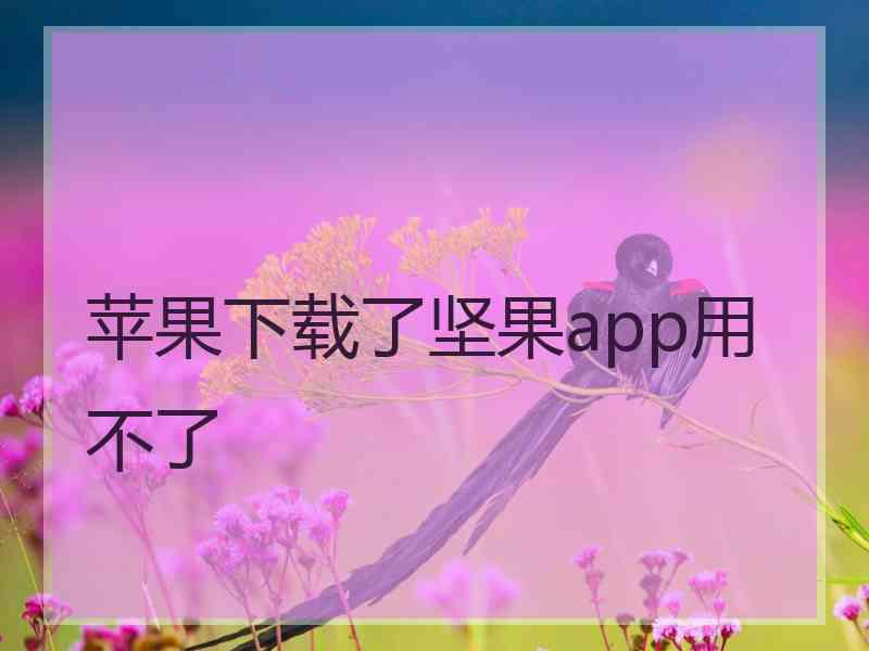 苹果下载了坚果app用不了