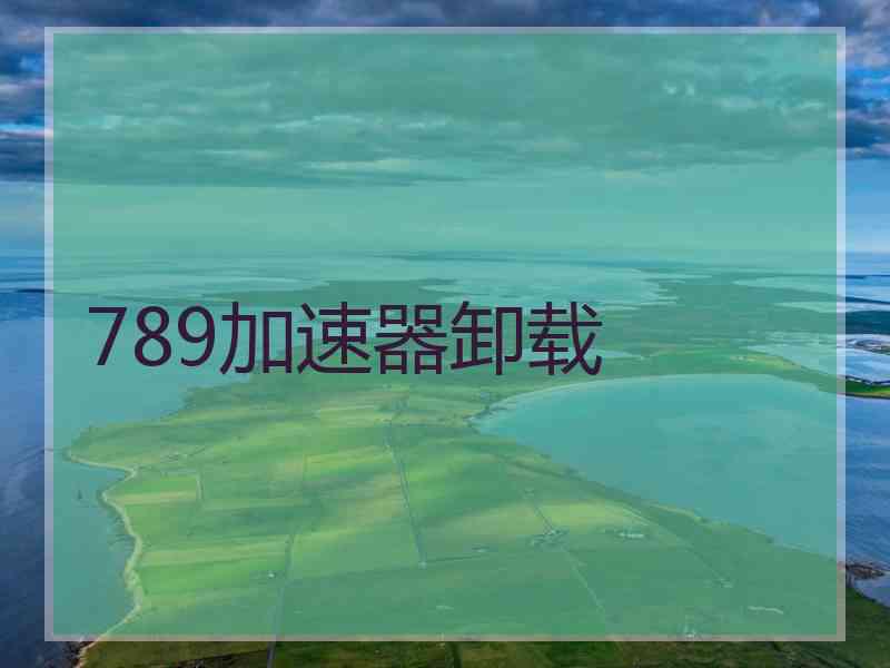 789加速器卸载