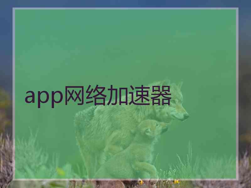 app网络加速器