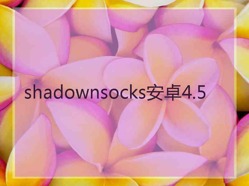 shadownsocks安卓4.5