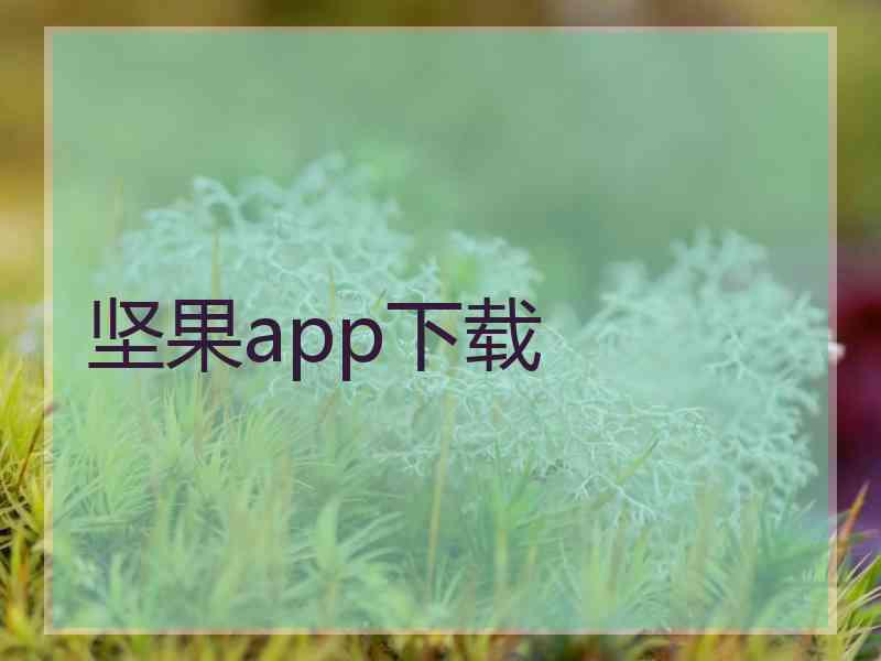 坚果app下载