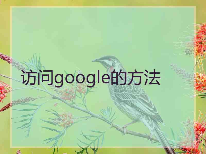 访问google的方法