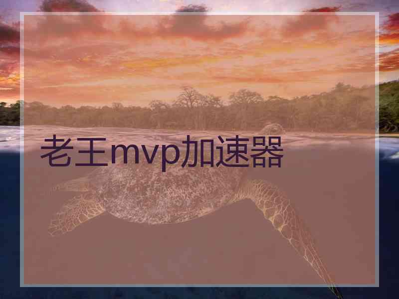 老王mvp加速器