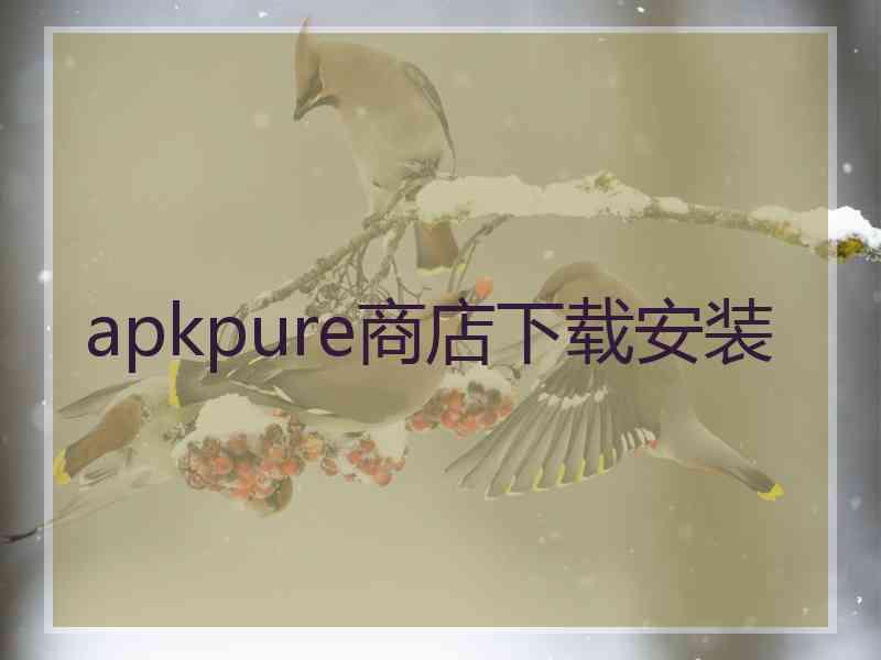 apkpure商店下载安装