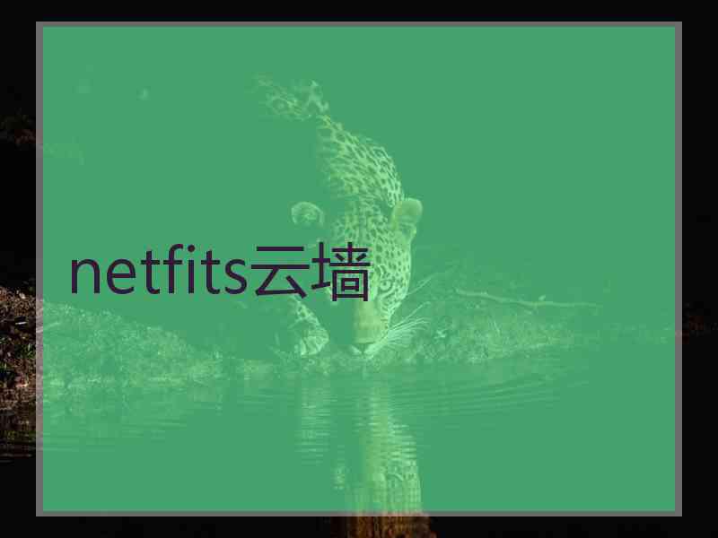 netfits云墙