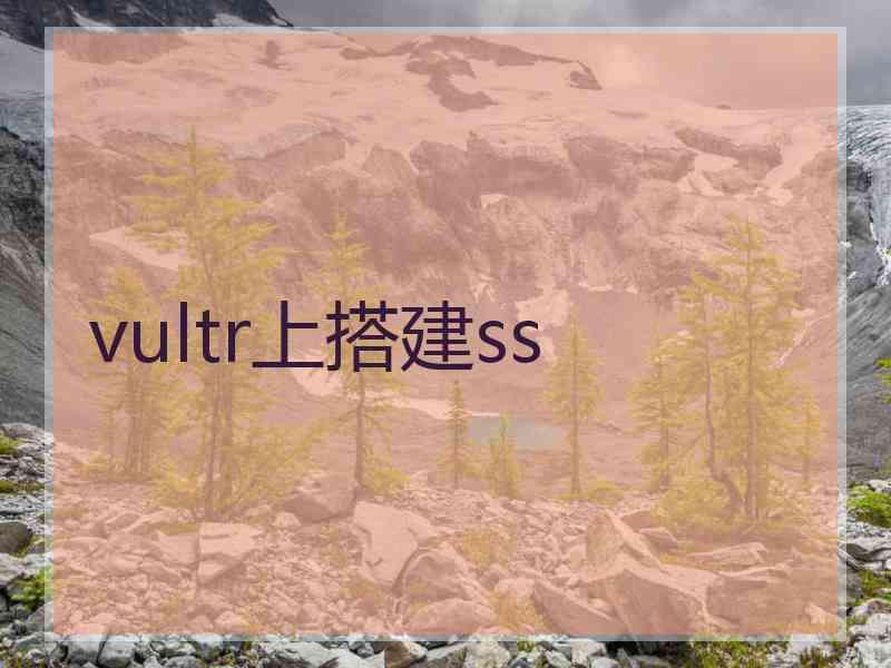 vultr上搭建ss