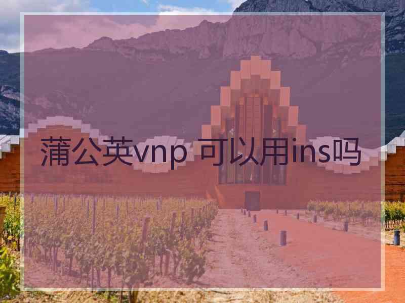 蒲公英vnp 可以用ins吗