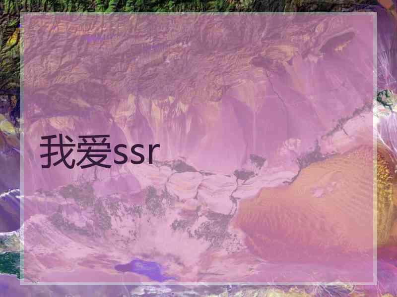 我爱ssr