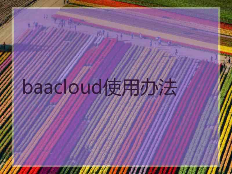 baacloud使用办法