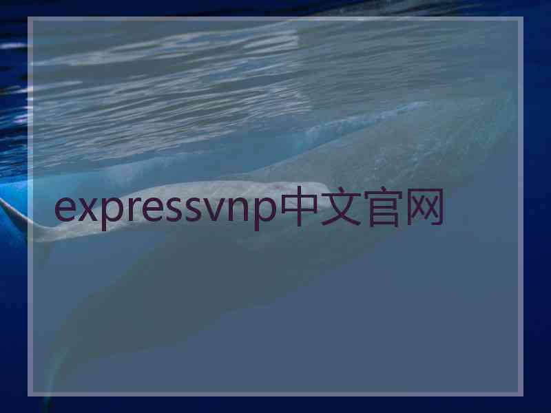 expressvnp中文官网