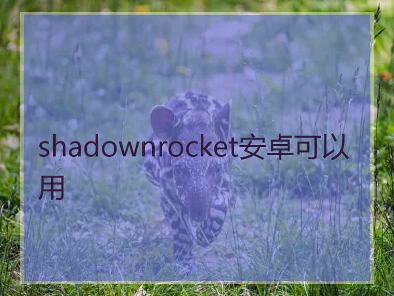 shadownrocket安卓可以用